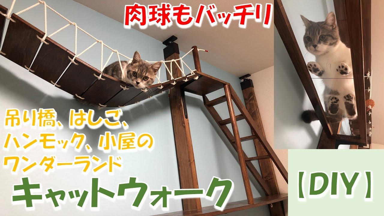 【DIY】元大工がまぁまぁ本気で作ったキャットウォーク(吊り橋、ハシゴ、肉球ゾーン、ハンモック、小屋のワンダーランド)