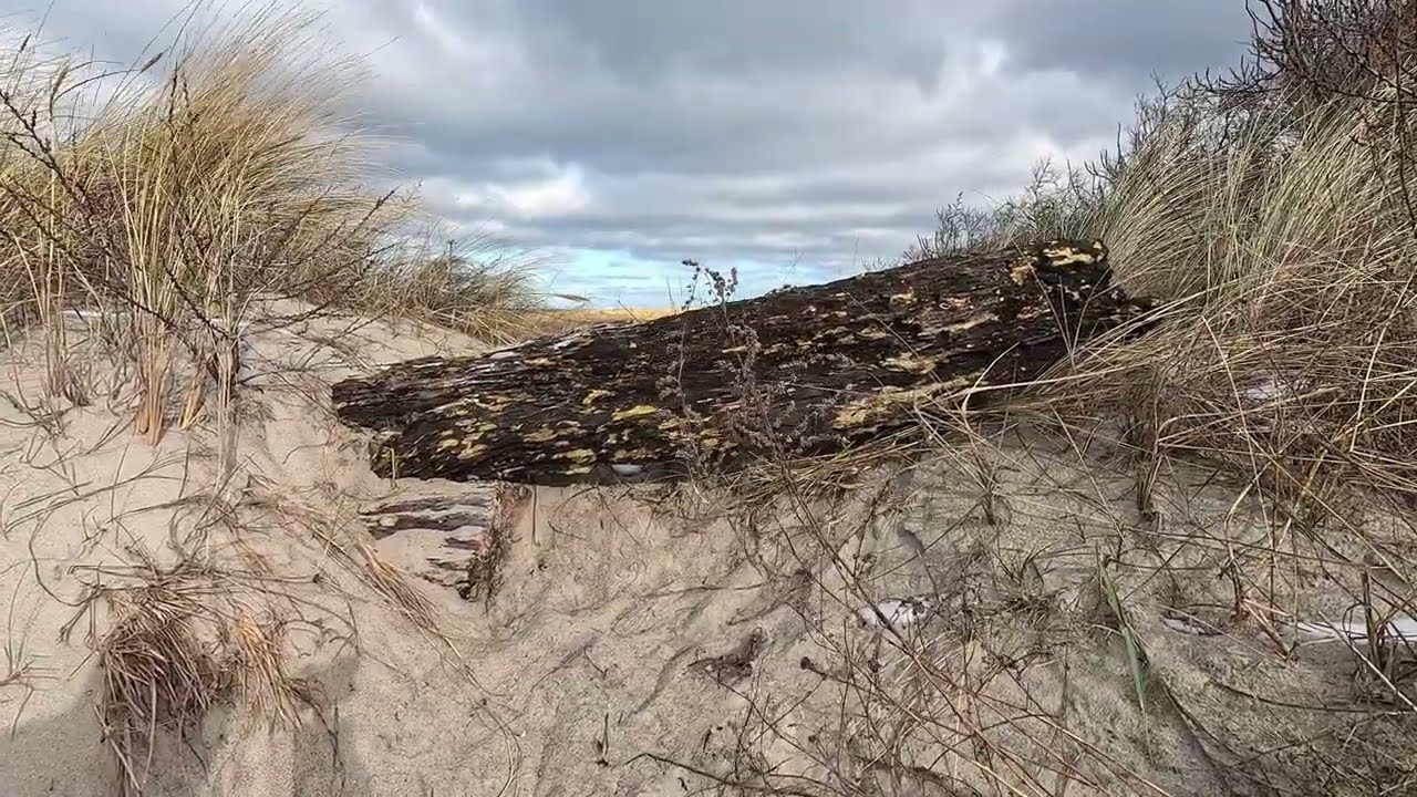 Es wird kalt an der Ostsee