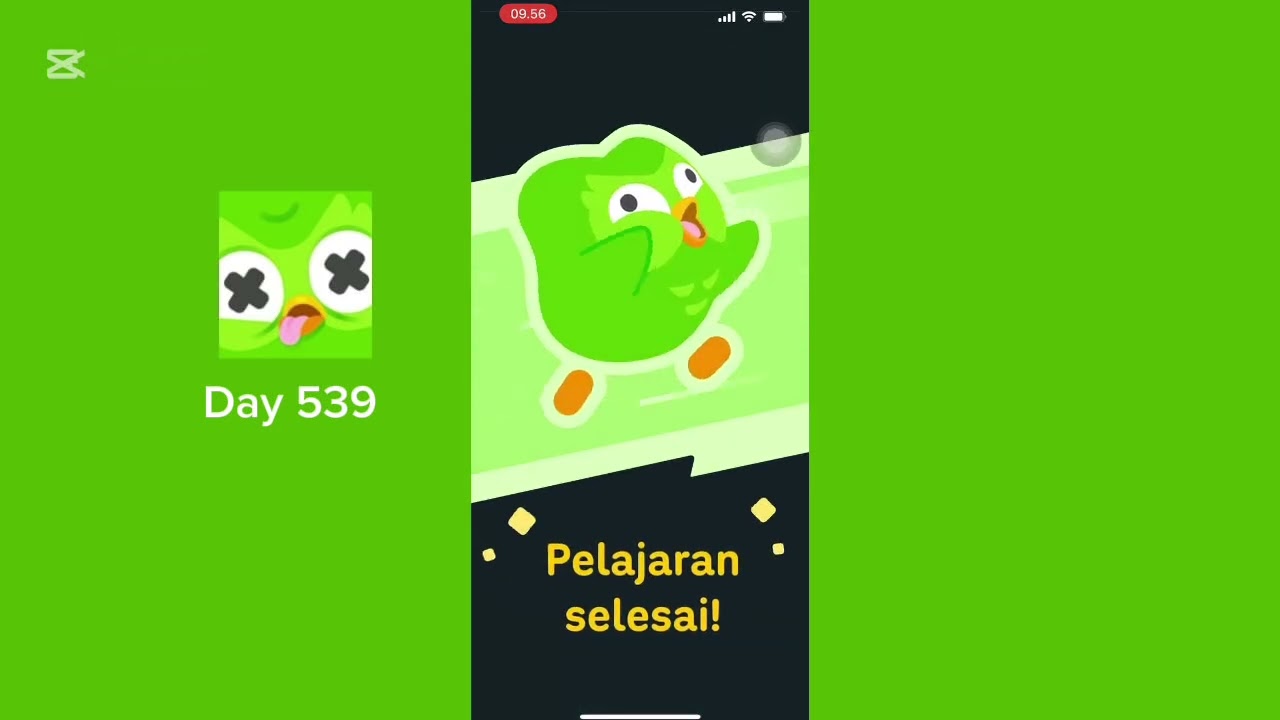 Duolingo Day 539