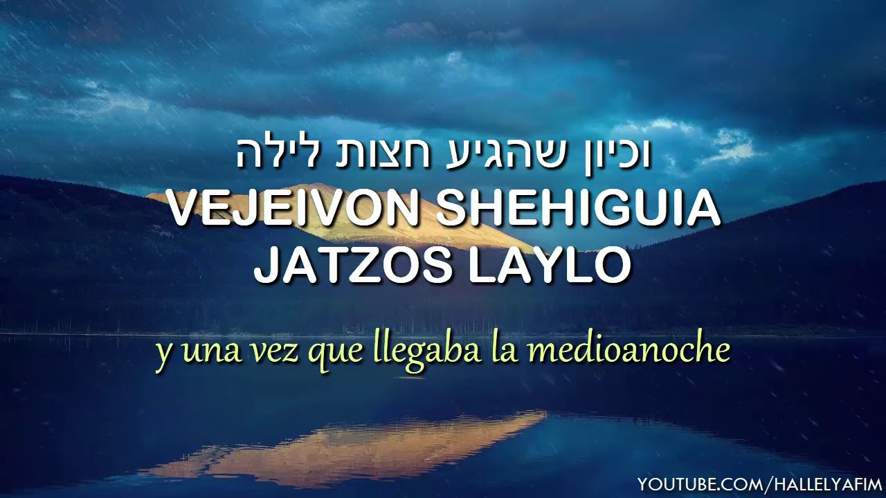 Kinor | כינור - Arpa del rey David | Canta: 🎙 Levy Falkowitz - לוי פולקוביץ | C/traducci&oacute;n