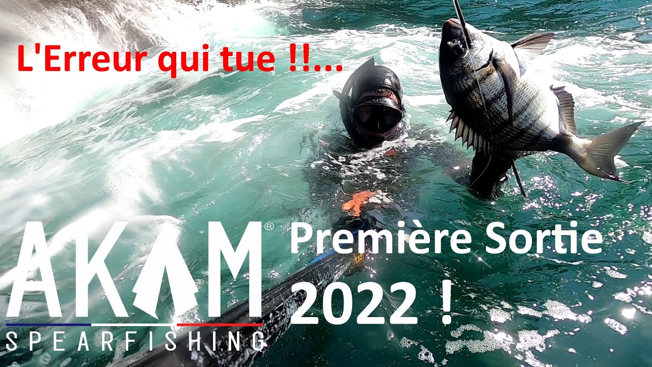 Sars, Bars et Homard à Belle île, Première sortie 2022 avec erreur de débutant en chasse sous marine