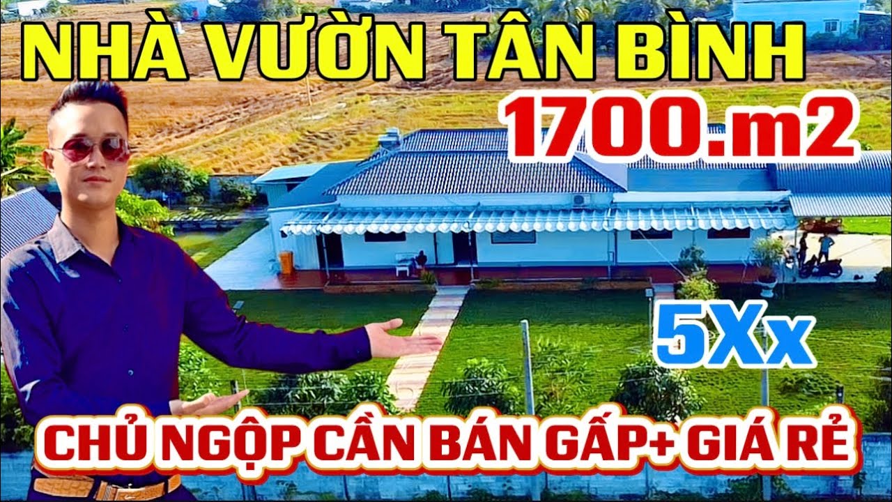 CHỦ NGỘP CẦN BÁN GẤP NHÀ VƯỜN TÂM HUYẾT. Hồ ao cá nhà kiên cố thổ sẵn