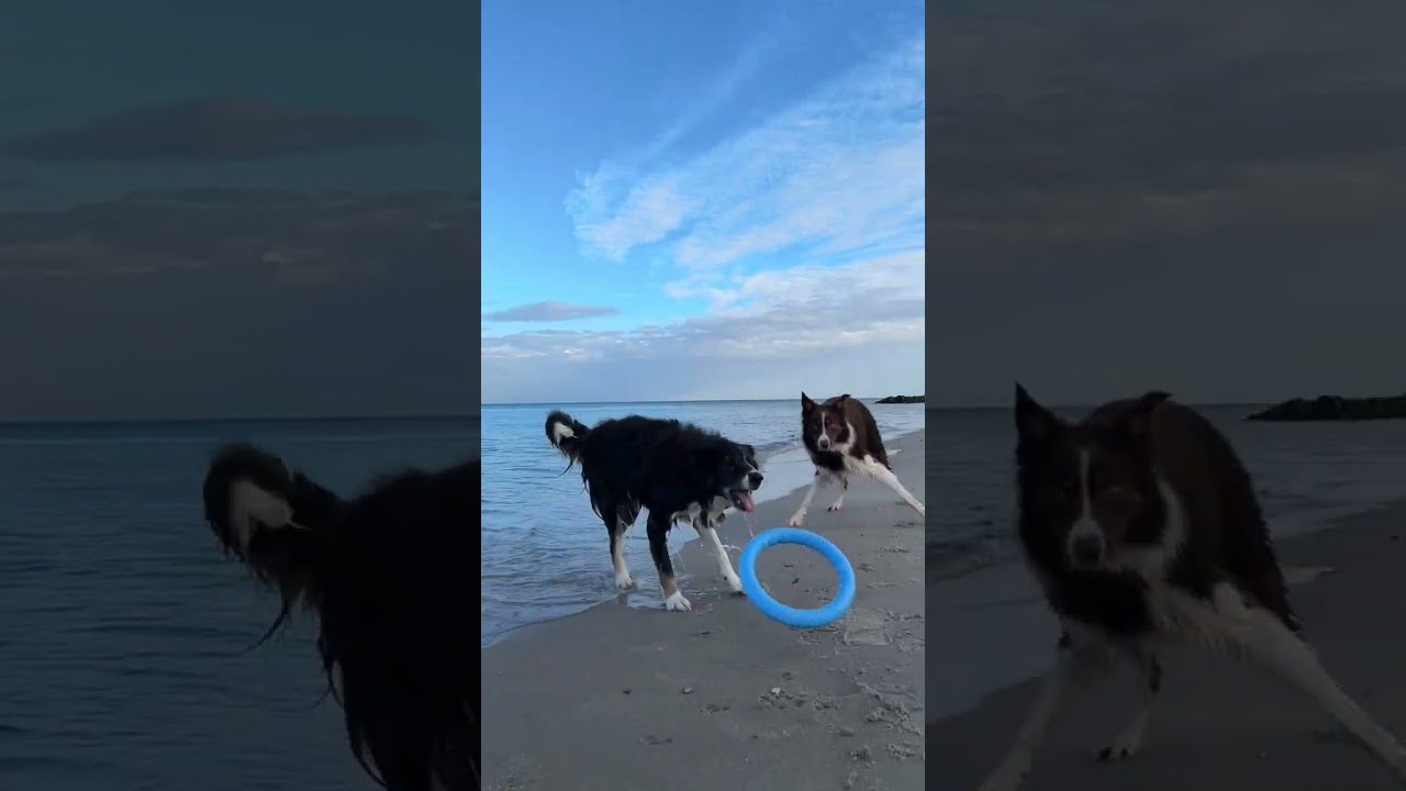 EB4FA8E0 311F 4551 AABD 402153D3D1A2