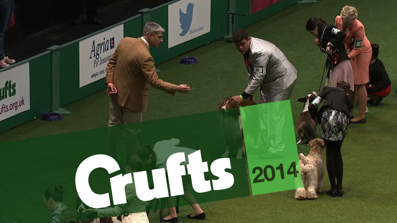 International Junior Handling Competition | Part 1 | Crufts 2014