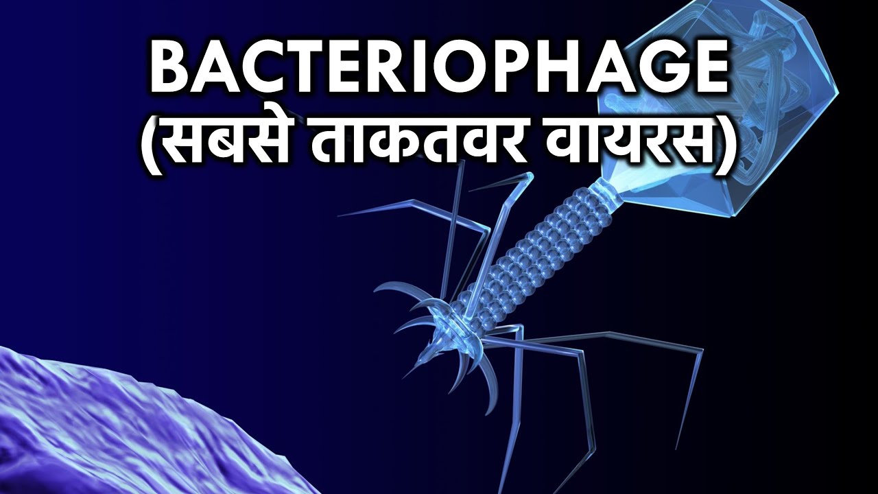 सबसे ताकतवर वायरस, जो बदल सकता है पूरी दुनिया, The Bacteriophage Virus In Hindi
