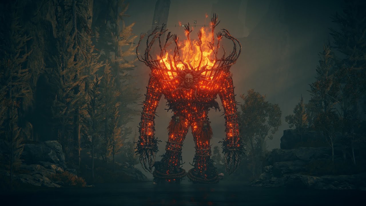 SHADOW OF THE ERDTREE. (249) (El Wickerman 02,Costa Cerúlea.) (Segunda Vuelta.) (1080p) (PS5.)