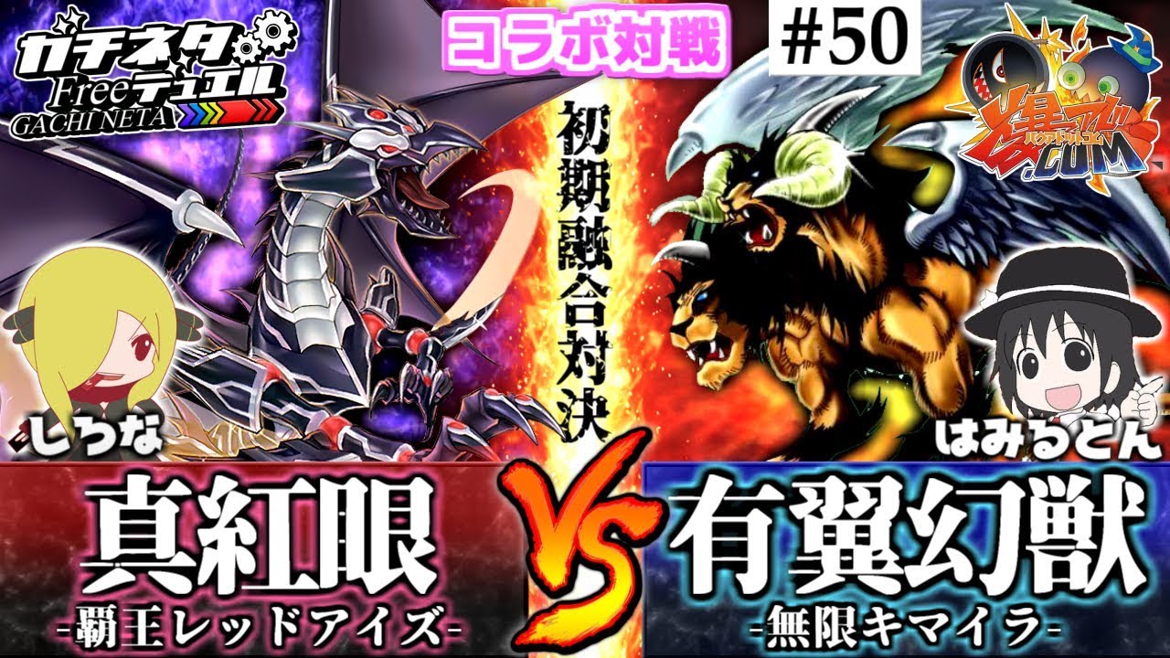 【#遊戯王】爆アド.comコラボ！はみるとん参戦！『覇王真紅眼』vs『有翼幻獣キマイラ』コラボ対戦【#ガチネタ】【#爆アド】#50