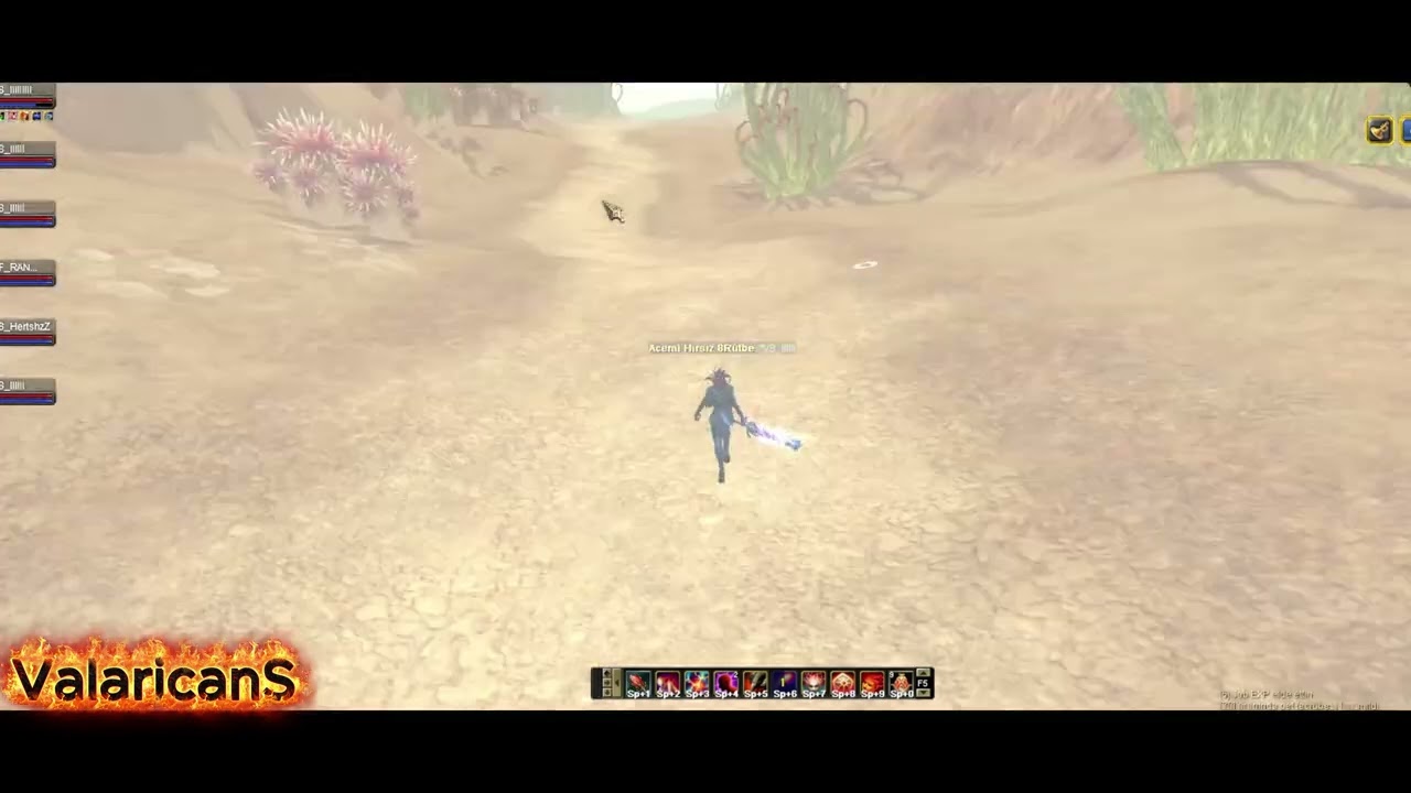 SilkroadTR HARPUT Valaricans 2Vs2 Evilsouls