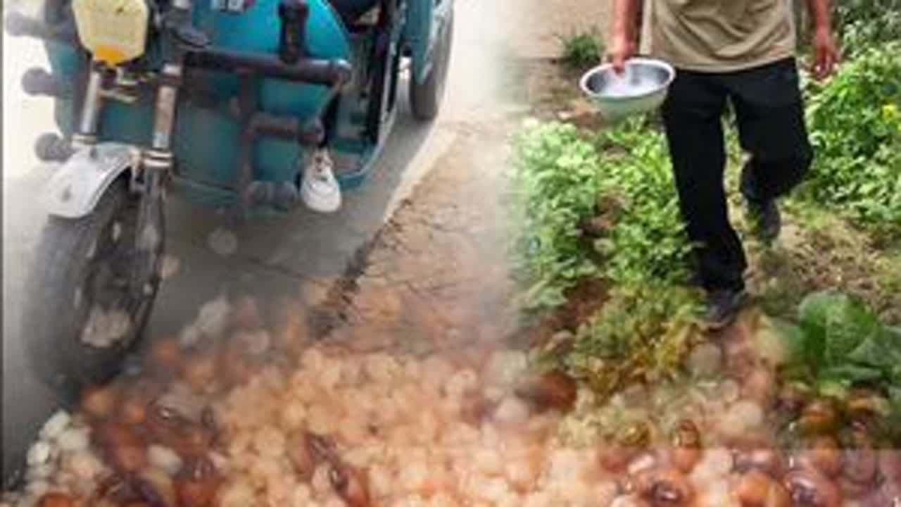 我和婆婆去大舅家送东西，公公在家做的高粱米水饭！#记录我的农村生活 #2024新农人计划 #乡村生活