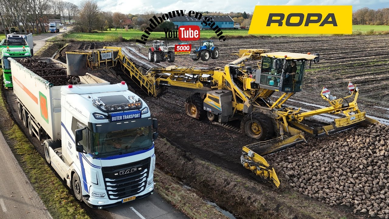 bieten laden Ropa Maus 6 loonbedrijf ellen Klazienaveen Geesbrug  Loading sugar beet