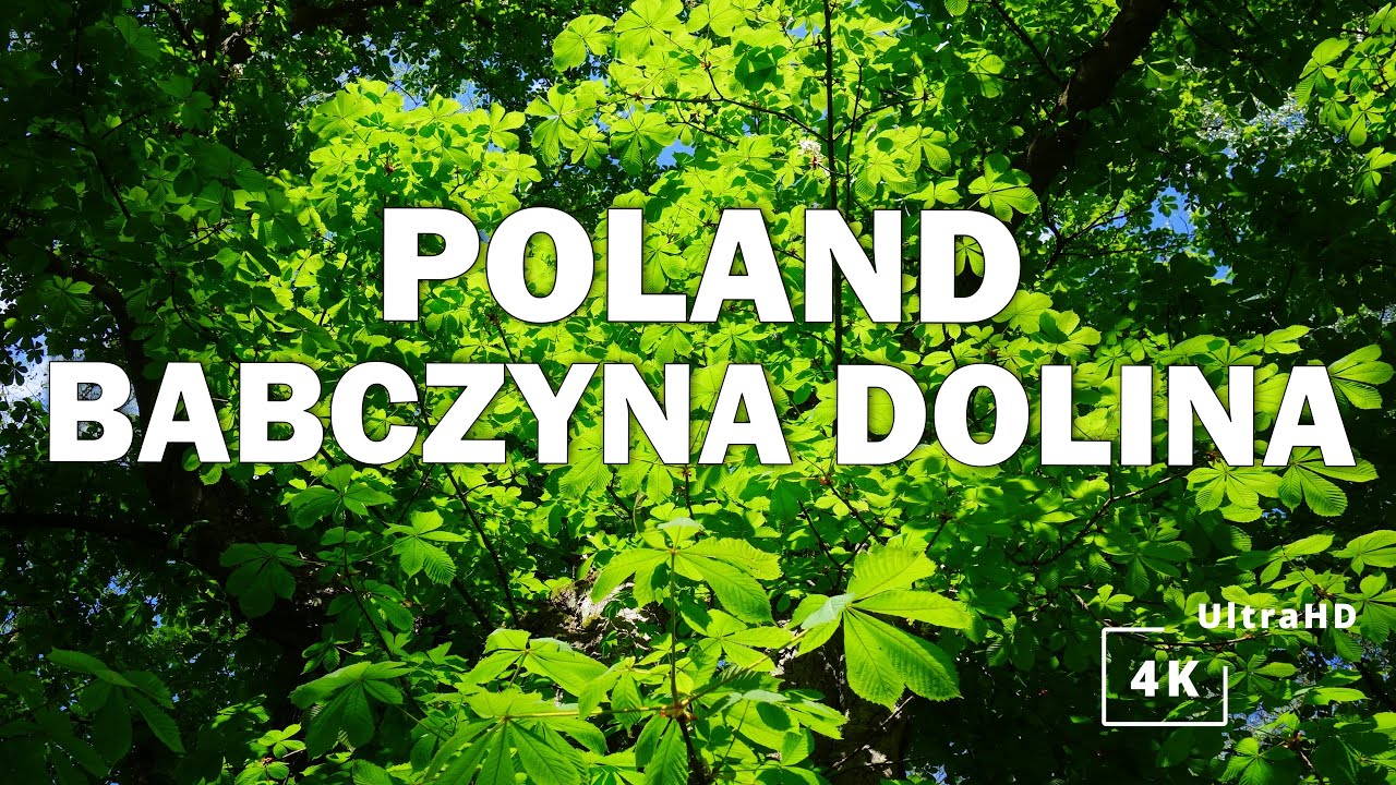 Time to relax? Here we go! Babczyna Valley Relaxing walk | Czas na relaks? Babczyna Dolina - Spacer