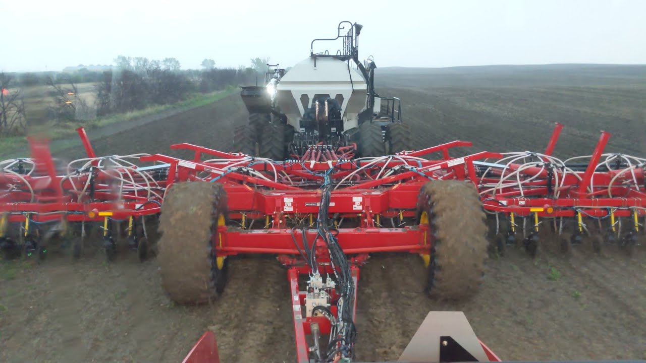 Seeding in the rain ☔🤷‍♂️