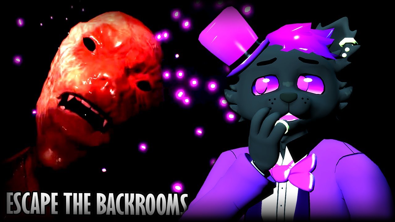 EVEN MORE BACKROOMS LEVELS