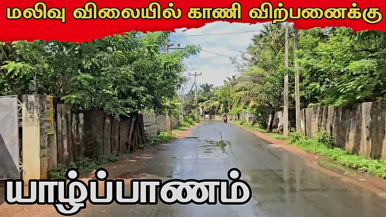 யாழ்ப்பாணத்தில் மலிவு காணி விற்பனை 1.5 பரப்பு காணி | land for sale jaffna srilanka 🏠