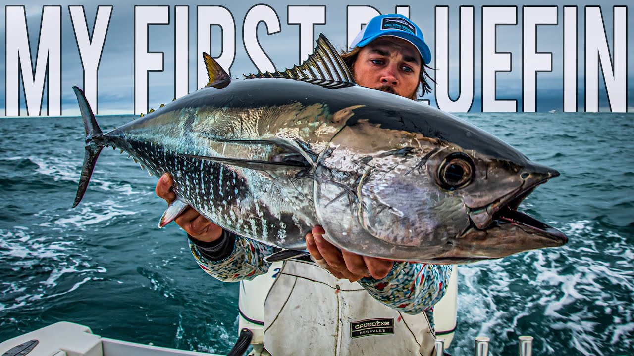 Trolling For My FIRST BLUEFIN TUNA Inshore Fishing Rhode Island ft Woozy (CATCH, CLEAN, POKE)