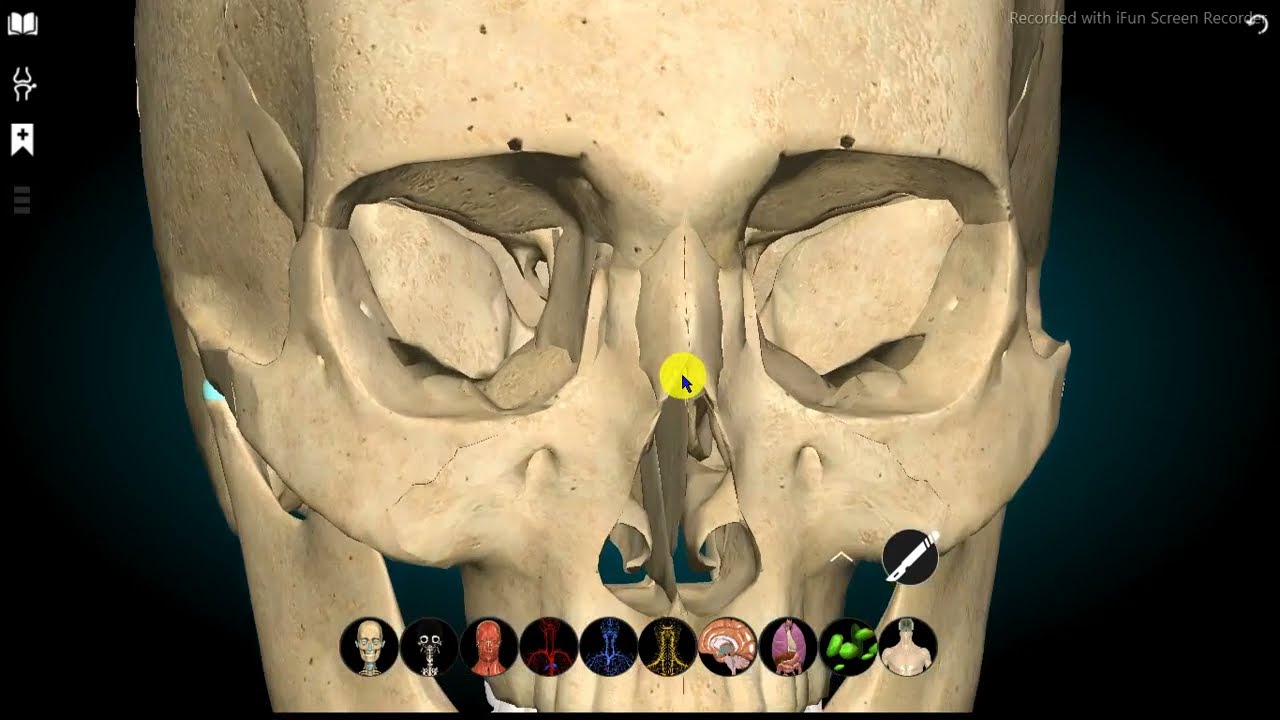 TUTORIAL - ANATOMY LEARNING - CORPO HUMANO 3D