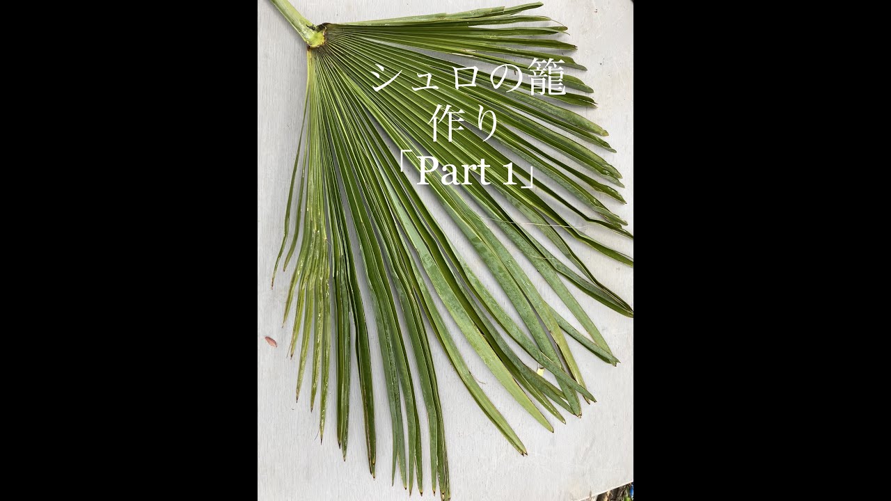 シュロの籠作り「part 1」