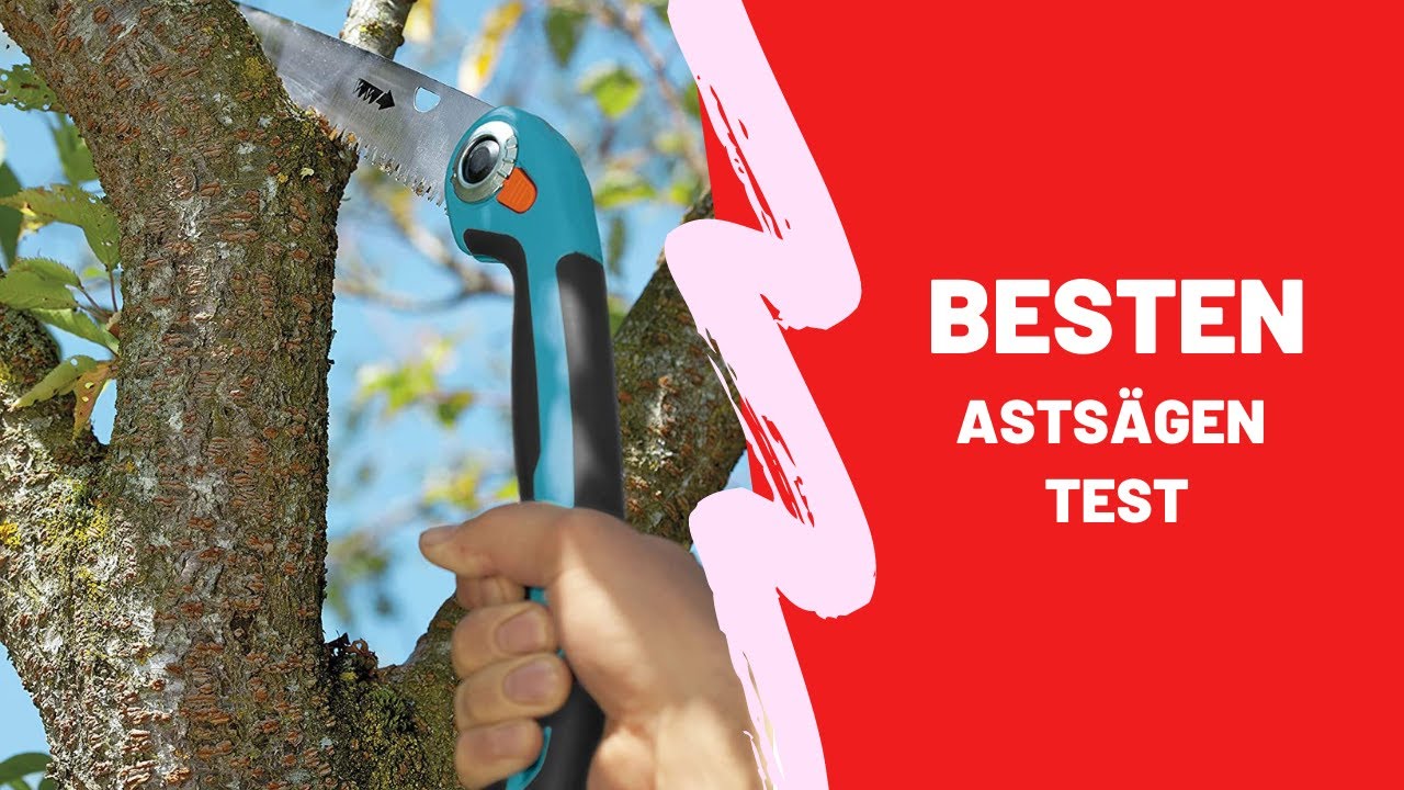 Die Besten Astsägen Test - (Top 5)