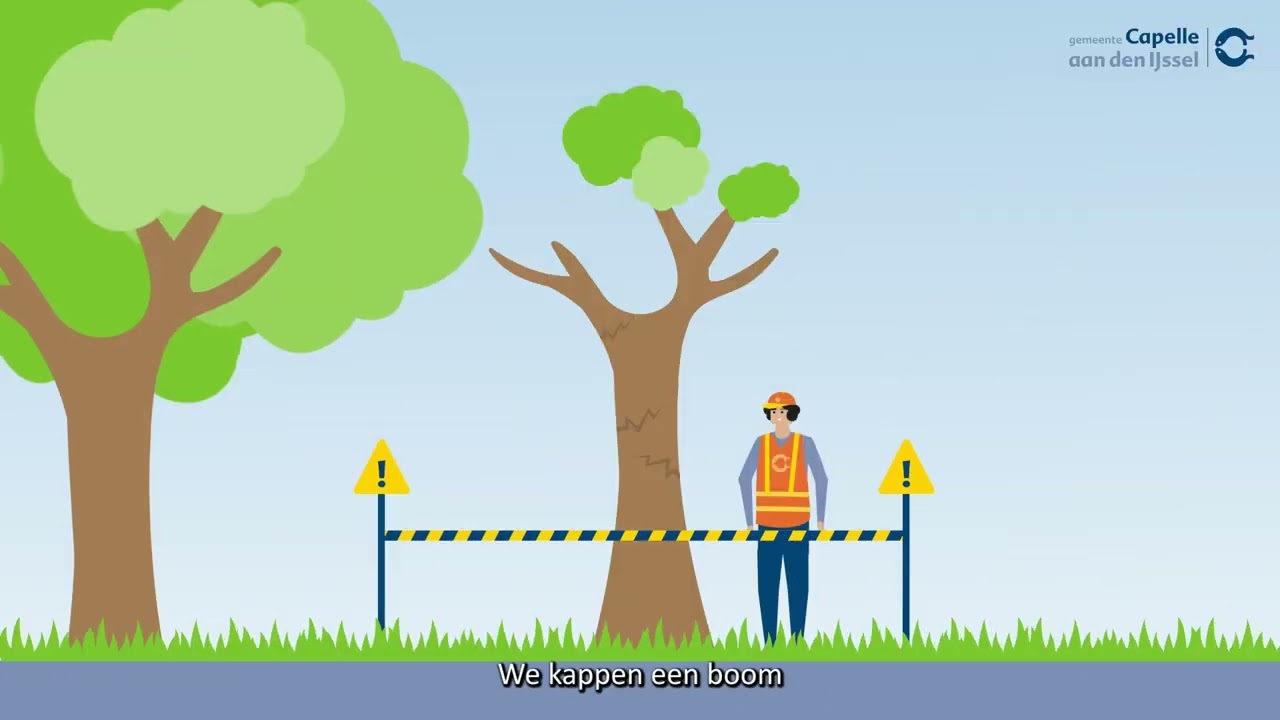 Gezonde en veilige bomen in Capelle | Gemeente Capelle aan den IJssel | Capelle Bouwt Aan de Stad