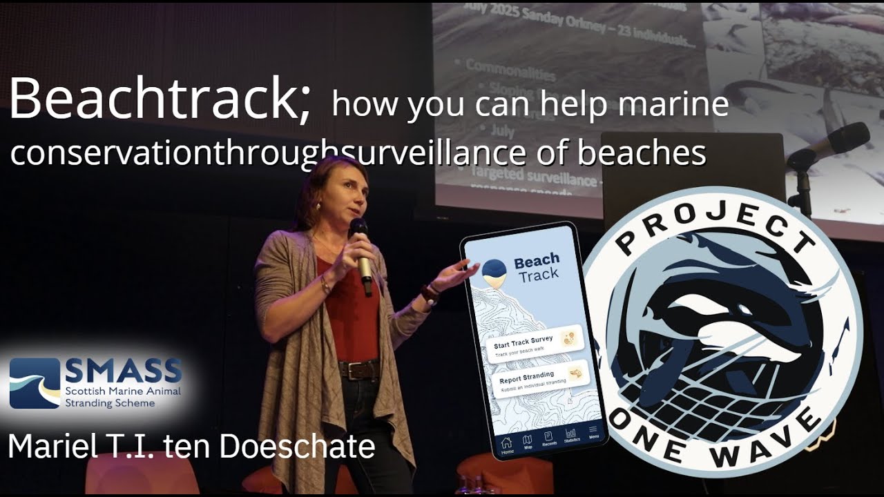 Project one wave :  how you can help marine conservation through surveillance of beaches