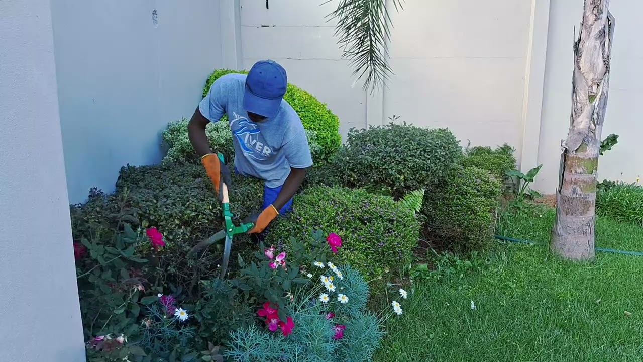 Flower bad inside the complex #trending #garden #trending #lawnmowingbusiness #trending 