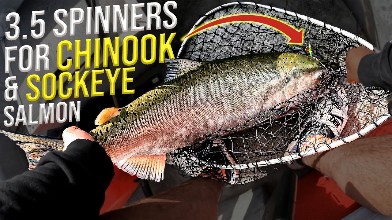 Fishing 3.5 Spinners for Salmon on the Columbia River!