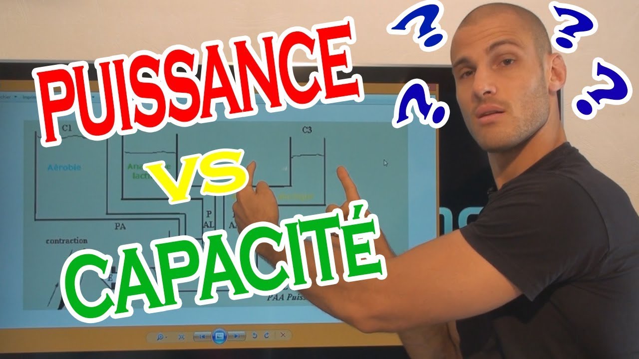 Qu'est-ce que 