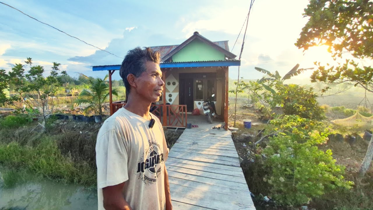 PAK RADIO RAUP PULUHAN JUTA DARI BERKEBUN CABE SATU HEKTAR DI LAHAN TRANSMIGRASI KALIMANTAN UTARA