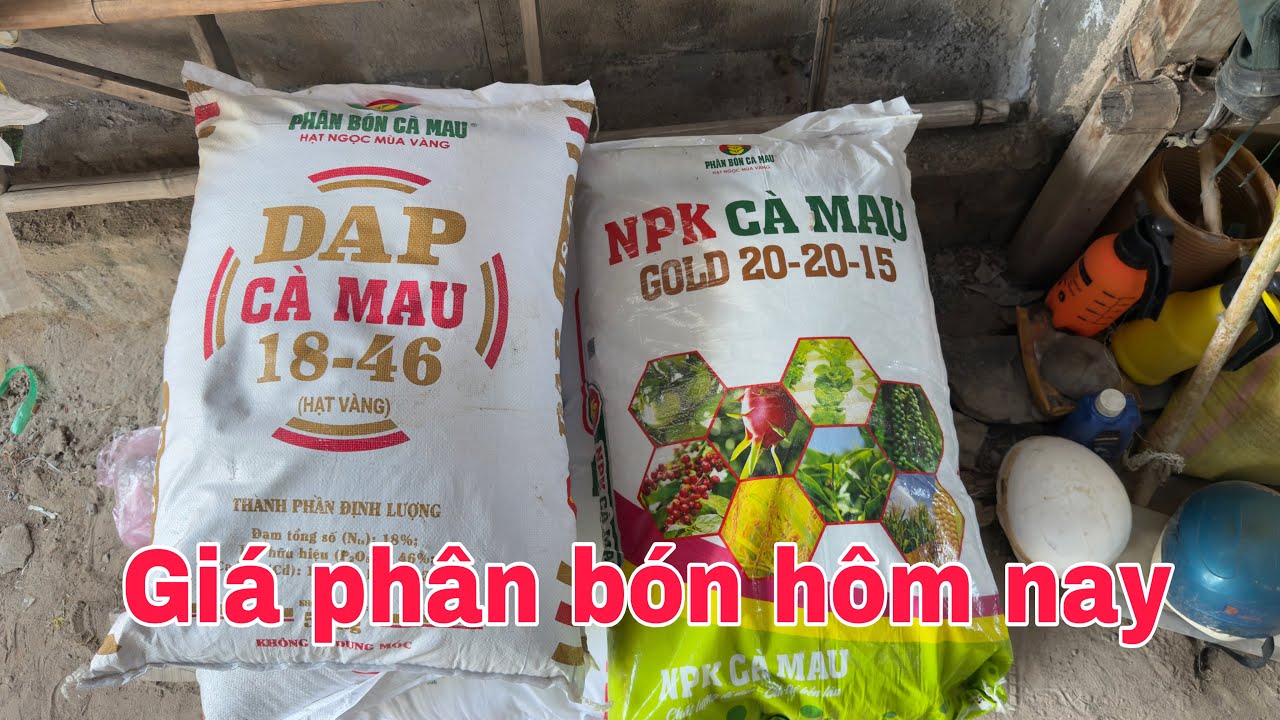 Giá phân bón hôm nay 