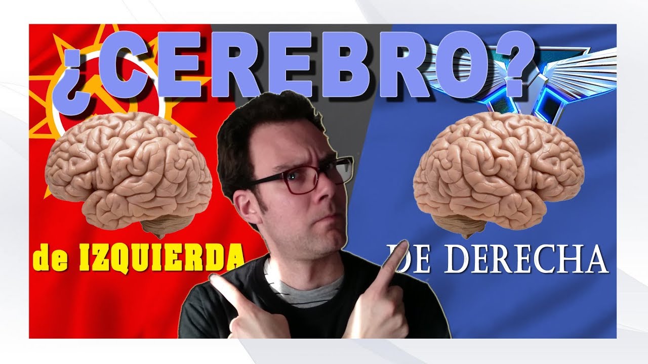 [¿Tienes un CEREBRO de DERECHAS o de IZQUIERDAS?]  Psicología POLÍTICA