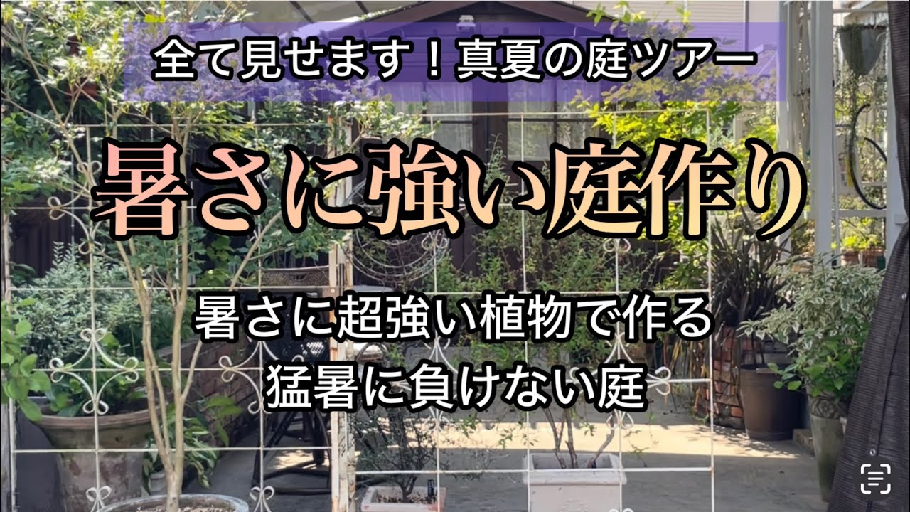 【猛暑に負けない庭】暑さに強い植物と水やりの工夫で作る夏の庭/暑さに強い宿根草　#pwアンバサダー pwアンバサダー #PW#ガーデリンク