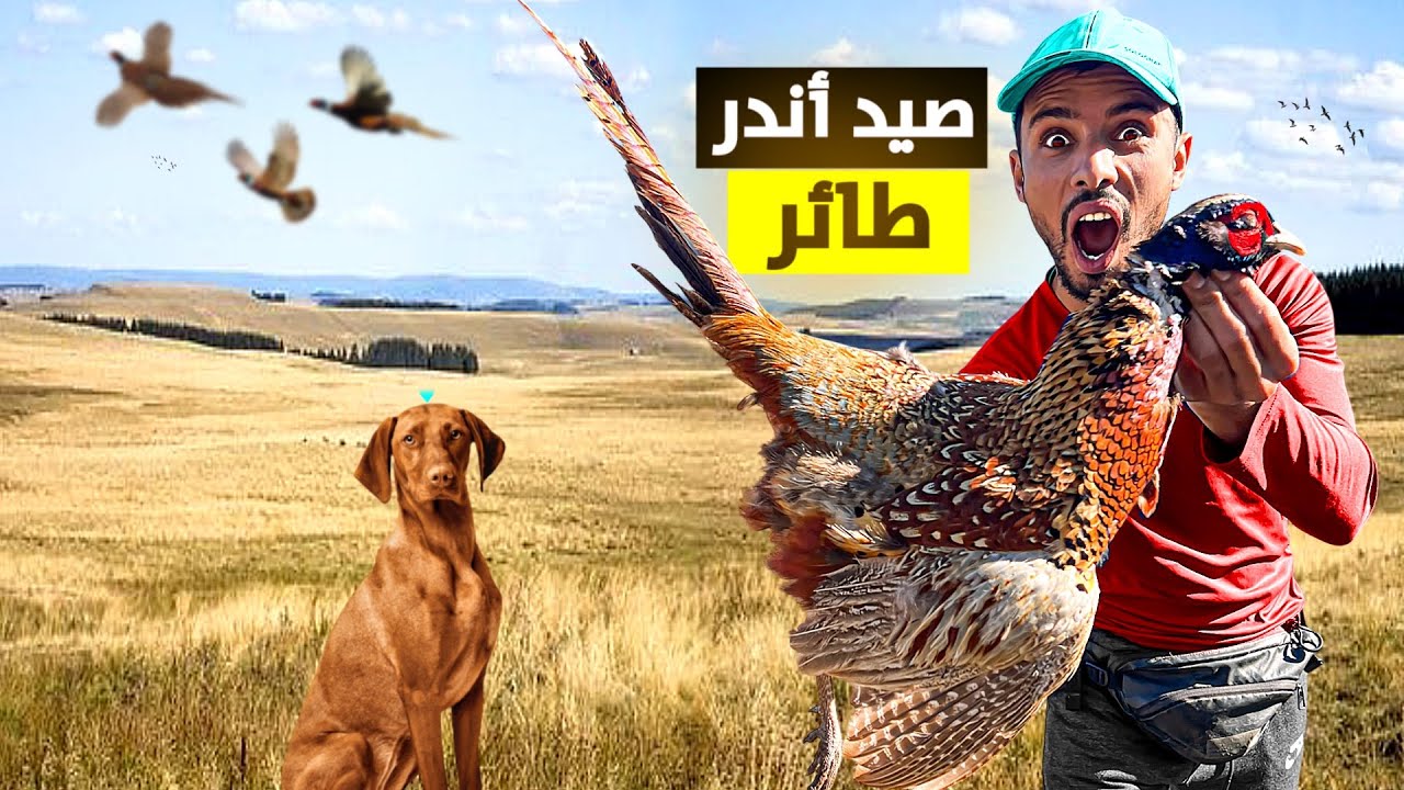 الحياة البرية :تحدي صيد أغرب طائر حصيلة غير متوقعة