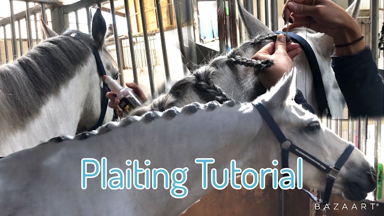 HORSE MANE PLAITING TUTORIAL ~ (and bathing)