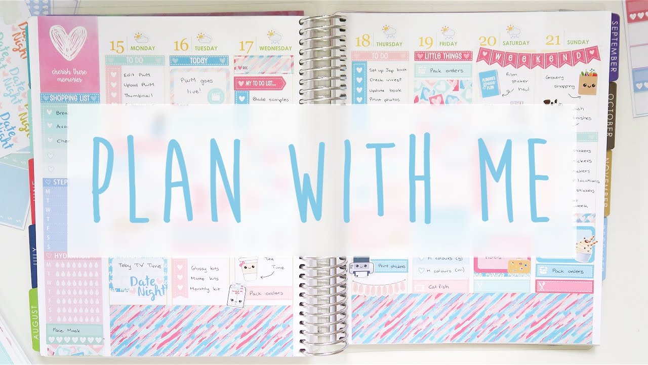 Plan With Me in my Erin Condren Life Planner ~ August 2016
