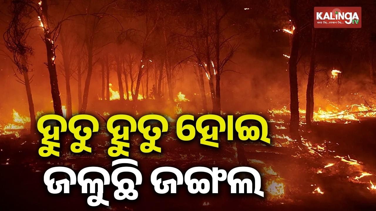 Forest Fire Erupts in Several Ranges of Redhakhol, Miscreants Suspected | Kalinga TV 