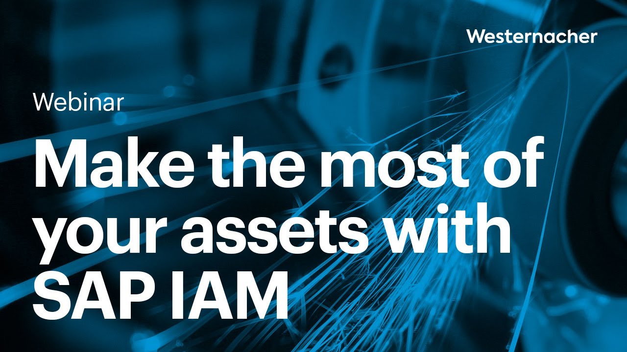 Make the most of your assets with SAP IAM.