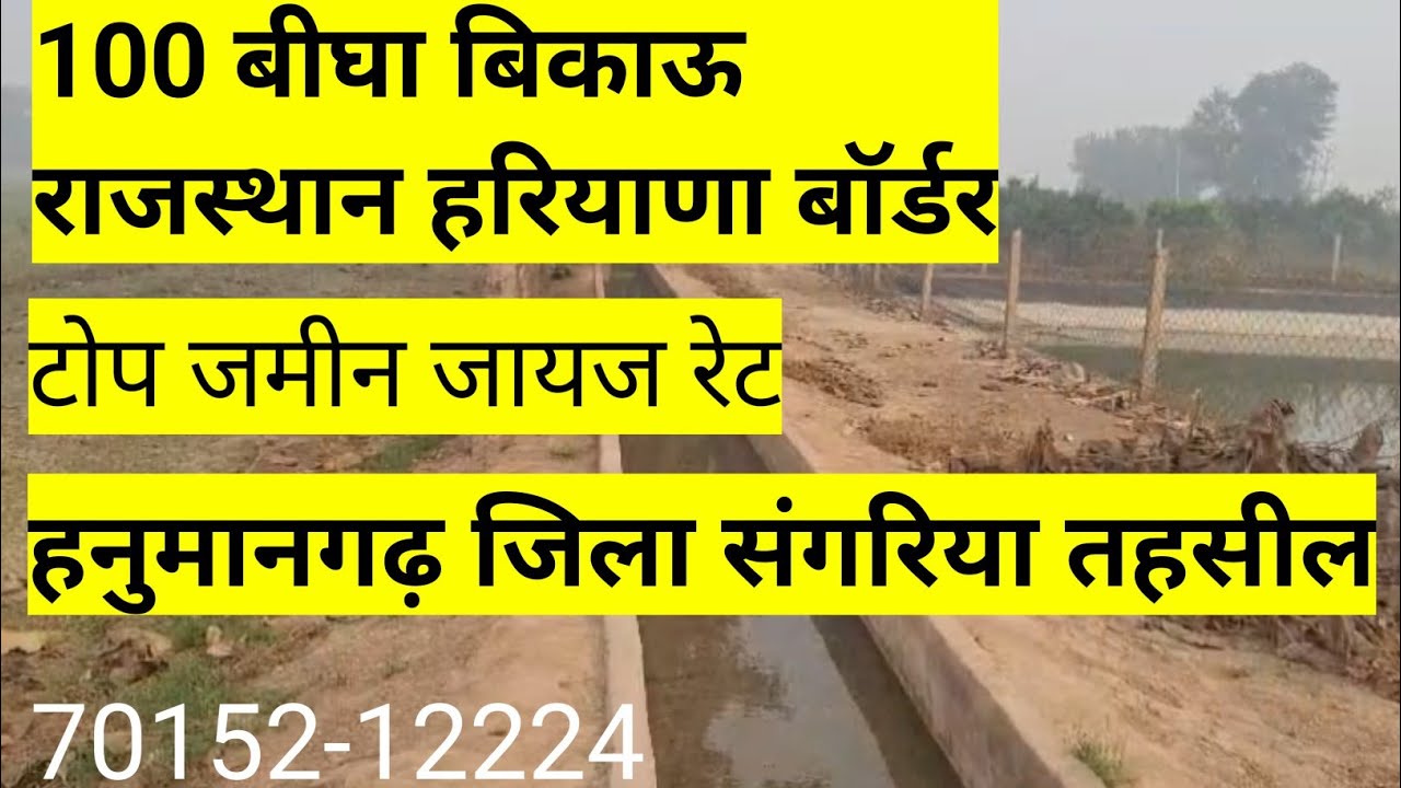 हनुमानगढ़ जिला संगरिया 100 बीघा जमीन बिकाऊ। राजस्थान हरियाणा बॉर्डर की बिकाऊ जमीन। #rajsthanlandsale