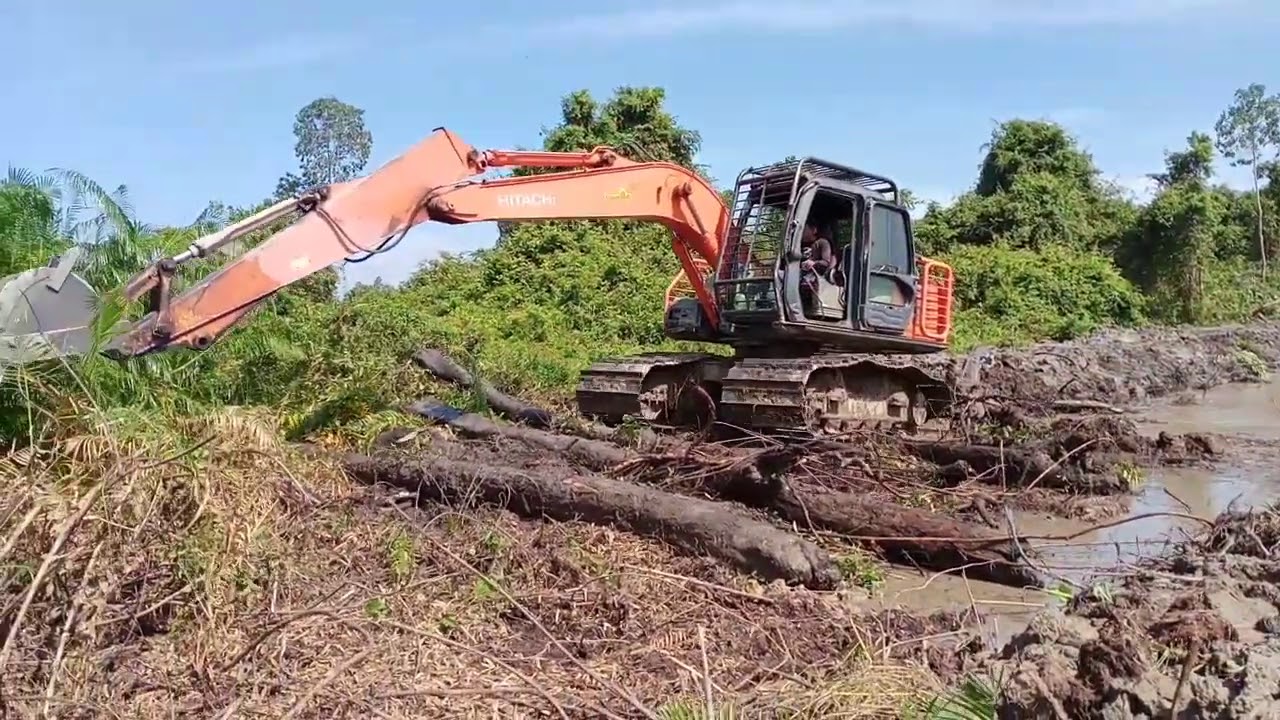 Swampland processing excavators