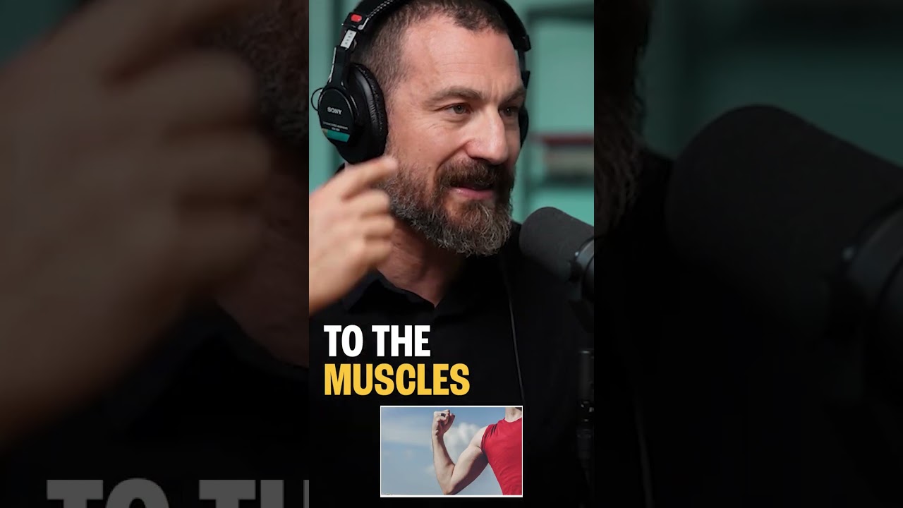 Mind your workouts: How overtraining can affect your brain function | Andrew Huberman
