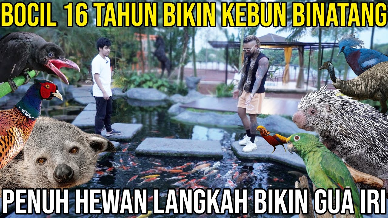 BOCIL 16 TAHUN BIKIN KEBUN BINATANG PENUH HEWAN LANGKA BIKIN GUA IRI, JASMINE PARK