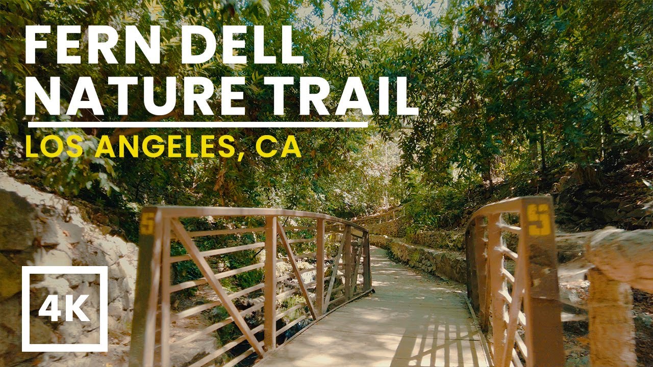 Fern Dell Griffith Park Walking Tour | 4K