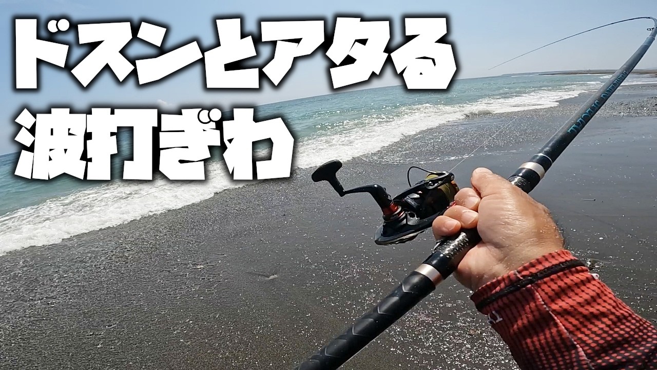良型黒鯛が簡単に釣れる！砂浜からの黒鯛釣り【紀州釣り】【釣武者】