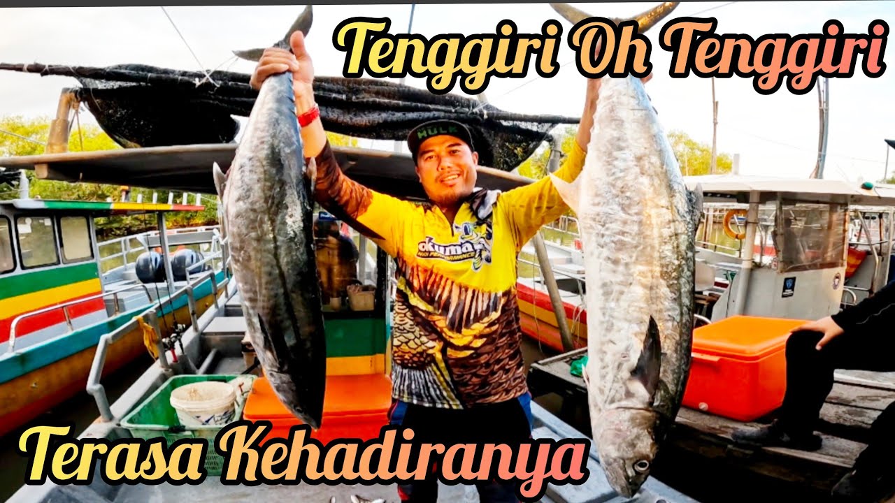 Kehadiran Tenggiri Di Tuas Matsharano Dah Mula Terasa Tunggu Air Jernih Pasti Gasak s457