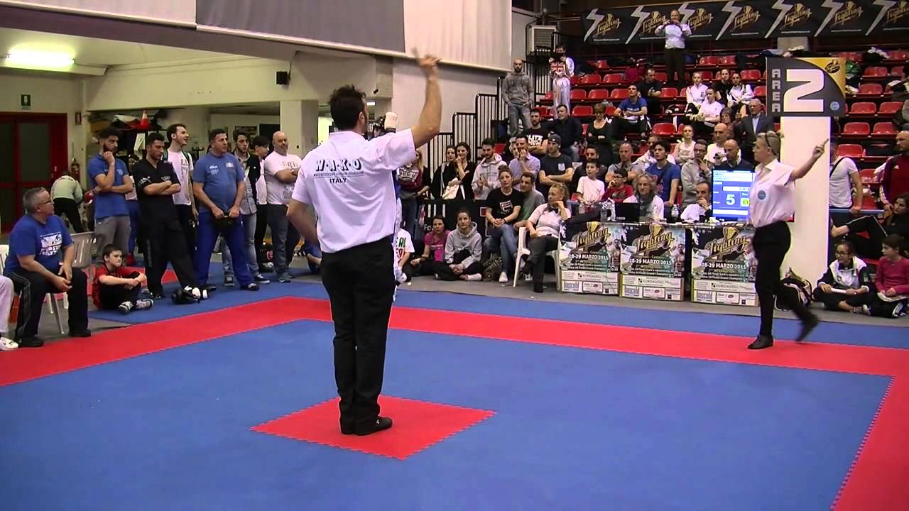 Raymond Daniels v Tamas Imre Pointfighting Cup 2015
