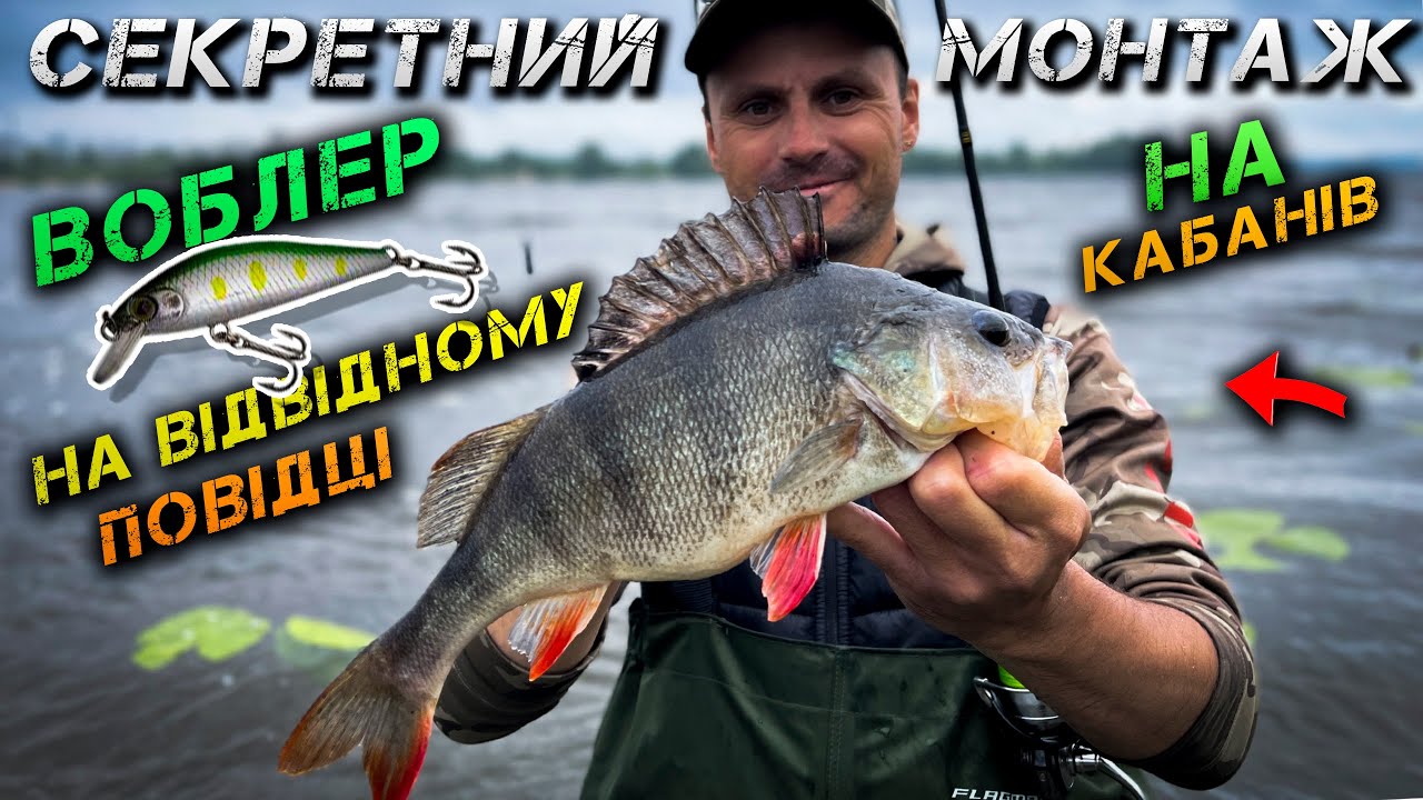✅Такого Ви НЕ БАЧИЛИ! Секретний Монтаж НА КАБАНІВ✅