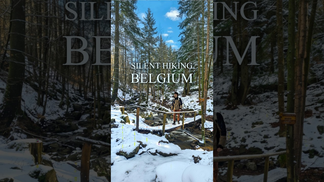 Silent hiking Belgium - winter