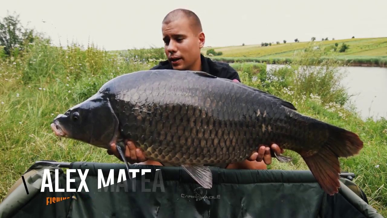 Carp Generation - Hot Fishing Days at Balta Lazar Alexandria (Fishing & Hunting Romania)