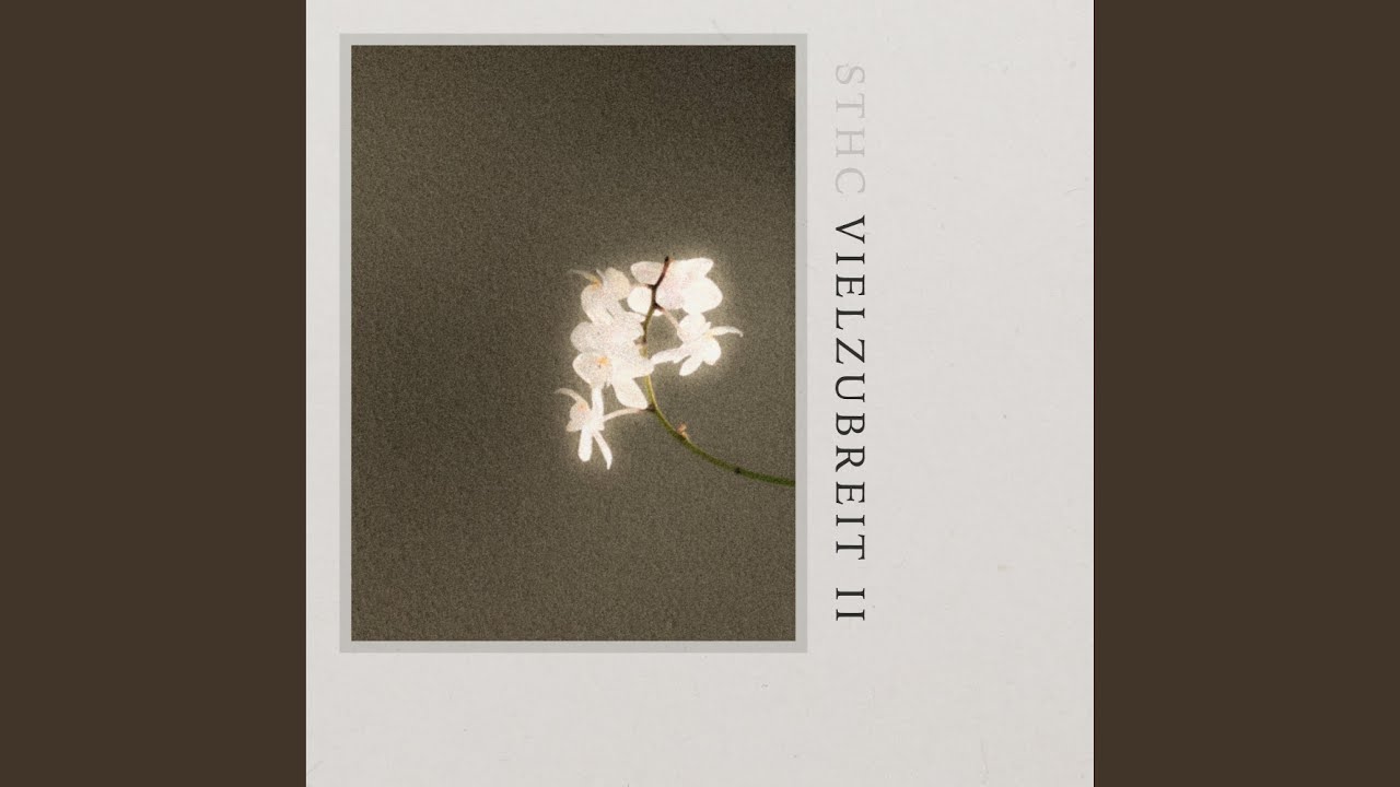 vielzubreit 2