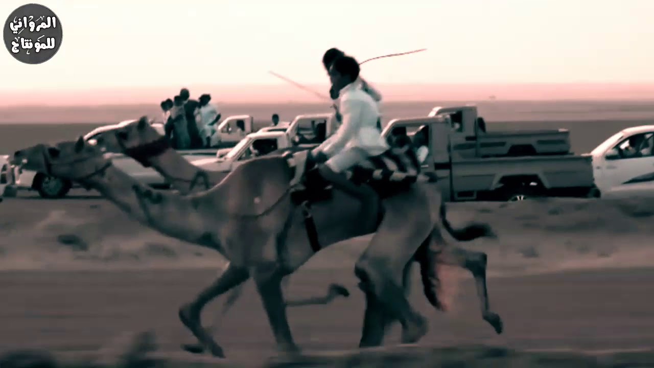 القصيده المطلوبه | لي سابق نطحتها دار الأجناب ( حره من الهجن ) ميدان أملج الحوراء 🐪🥇