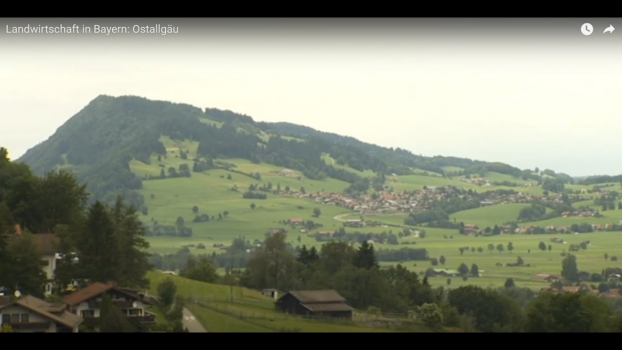 Landwirtschaft in Bayern: Ostallgäu
